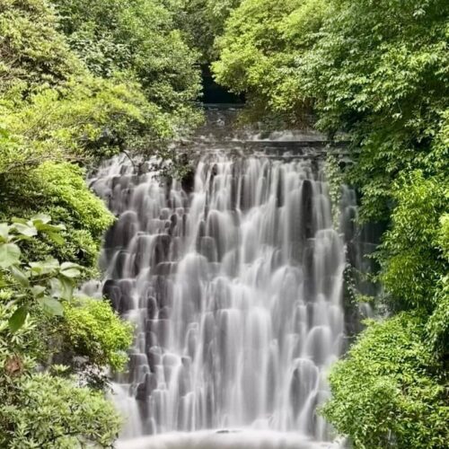 Elephant Falls